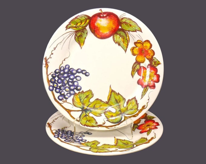 Pair of Pier 1 New Harvest dinner plates made in Italy by Quadrifoglio.