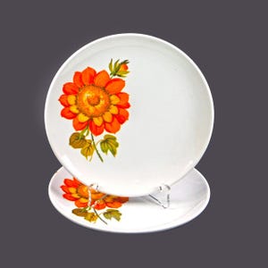 Retro vintage Royal Tudor Sunnyside Bread Plates made in England. Flower power. 2 plates.