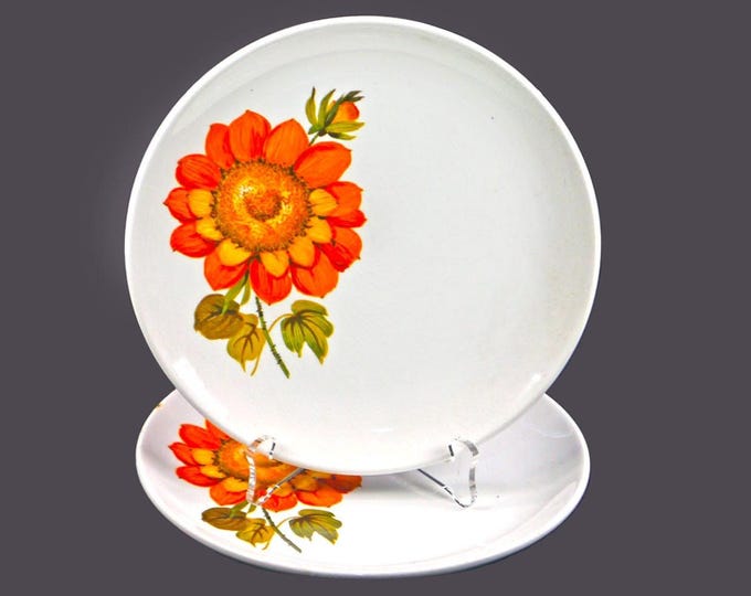 Pair of retro Barker Brothers Sunnyside bread plates. Royal Tudor Ware ironstone made in England. Flaw (see below)