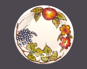 Vintage Pier 1 New Harvest salad plate made in Italy.