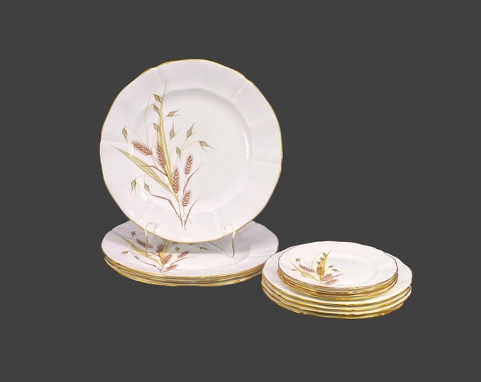 Twelve Northumbria Golden Horizon plates of dinner, salad, bread. Bone china made in England. See details below.