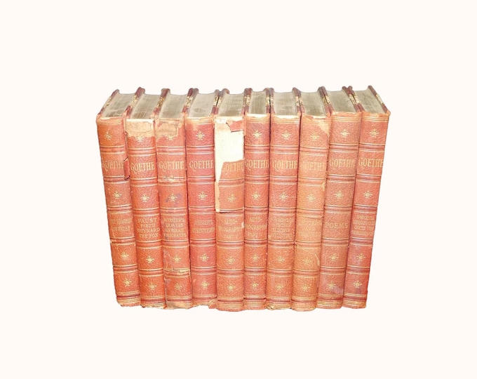 Ten volumes of Victorian-era books. Complete Works of Johann Wolfgang von Goethe. Published Collier.