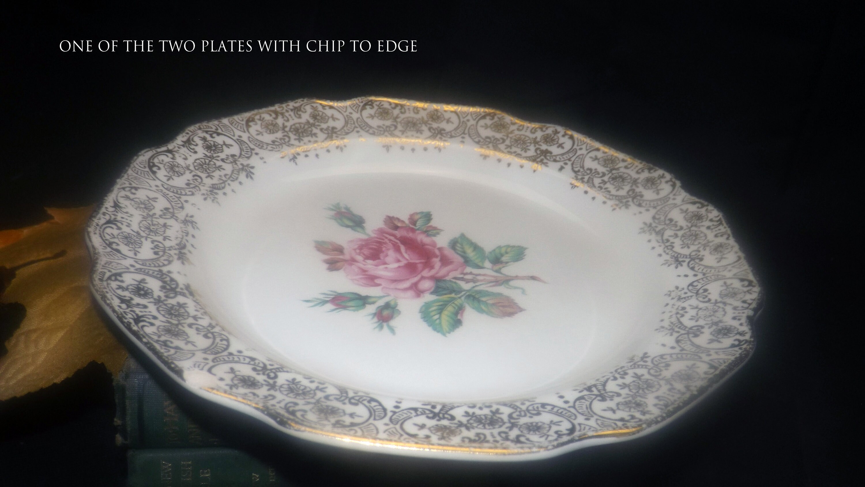Dominion China 22K Gold Flat Cup /& Saucer Set Briar Rose