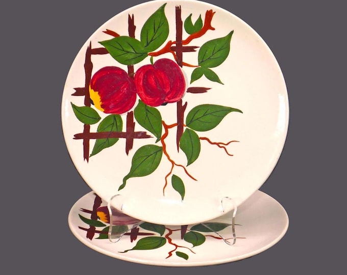 Pair of William Adams Orchard Grove luncheon plates. Titian Ware Ironstone made in England.