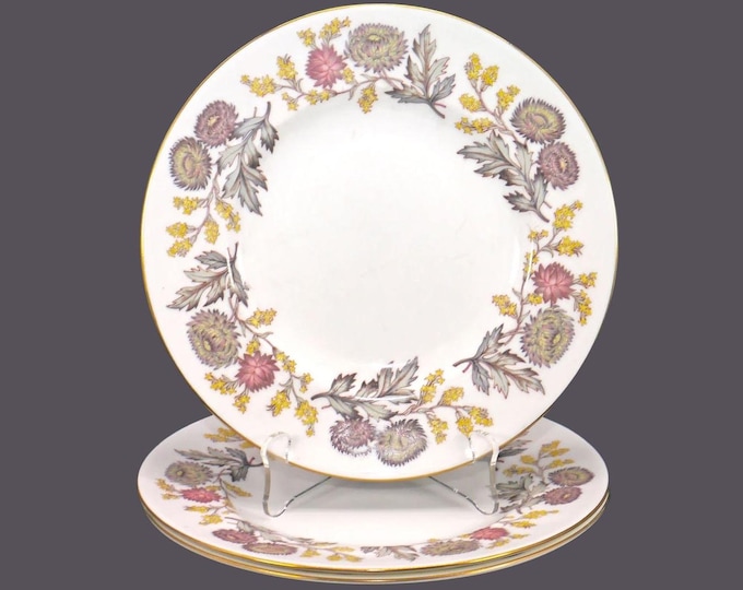 Three Wedgwood Lichfield W4156 salad plates. Bone china made in England.