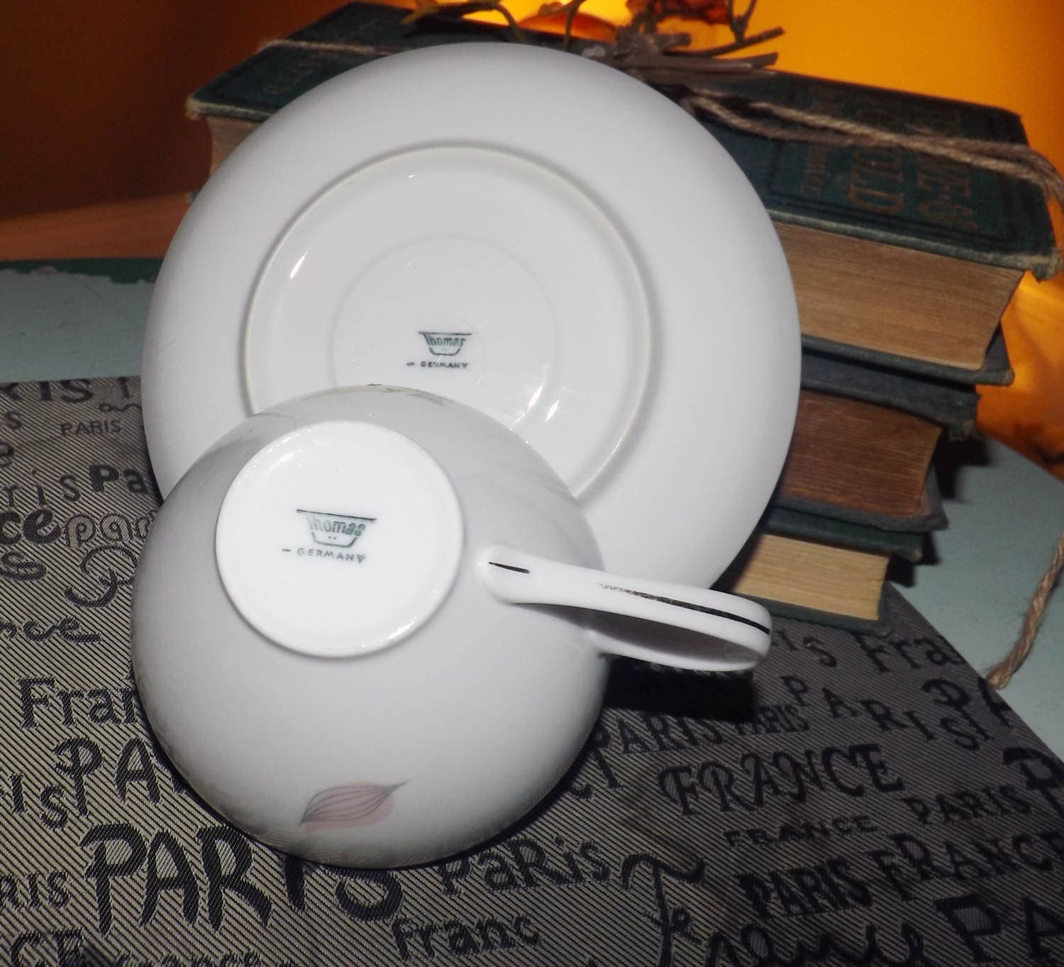 Vintage (1970s) Thomas Germany Rosenthal pattern 2002 cup and saucer