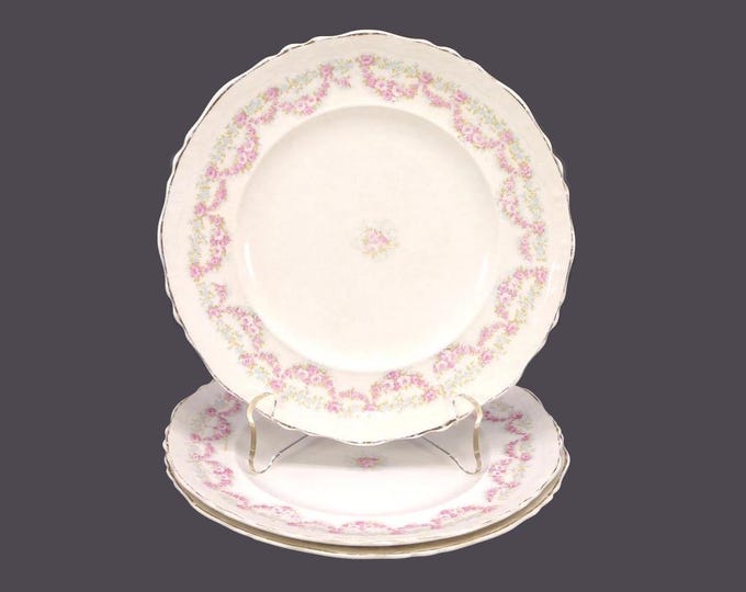 Three Edwardian Age Johnson Brothers JB960 dessert plates made in England.
