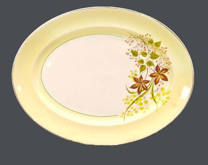 Johnson Brothers JB1196 oval platter made in England. Hard to find.