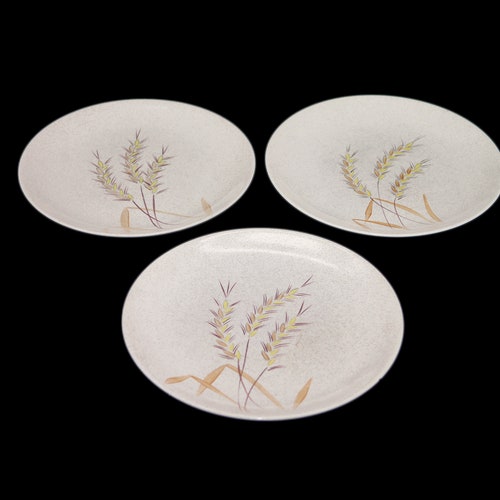 Three Myott Golden West stoneware luncheon plates. Safari stoneware made shops in England.