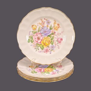 Vintage Sovereign Potters Barbara Ann 880-47 dinner plates. Set of 5.
