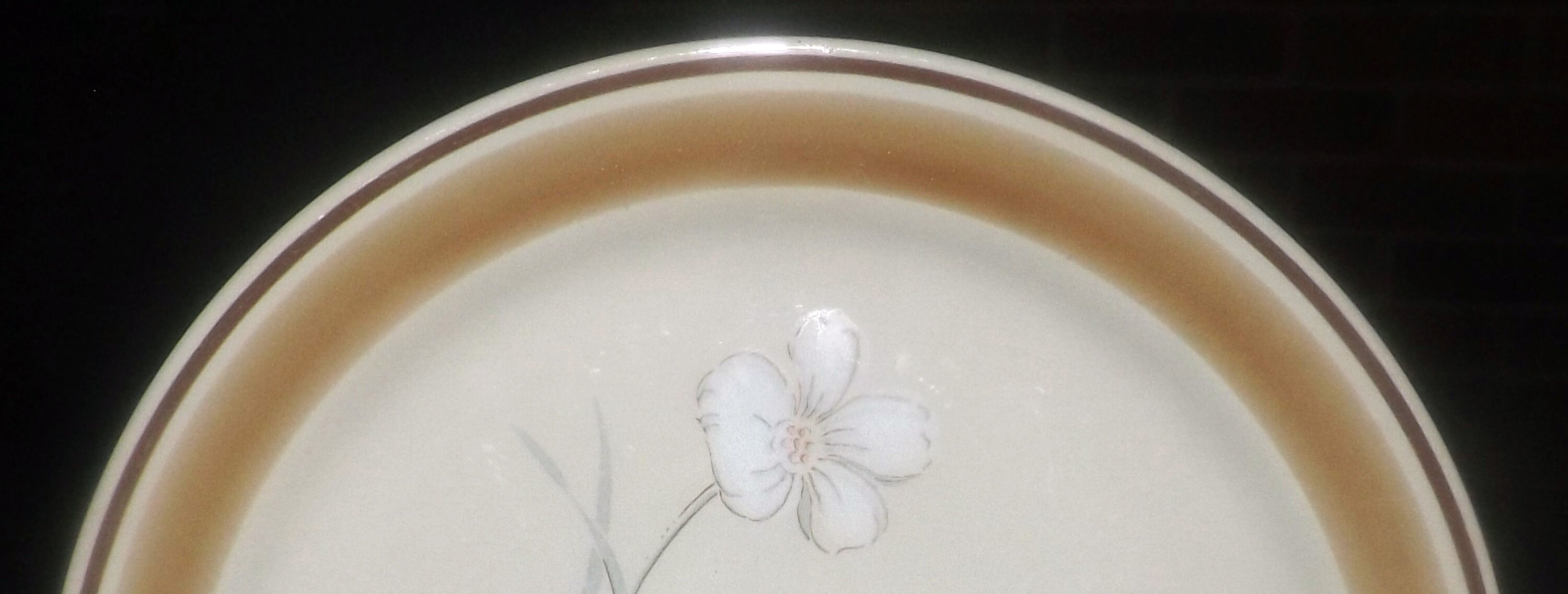Hearthside Japan Water Colors Dawn large stoneware dinner plate made in Japan Sold individually. Vintage 1970s