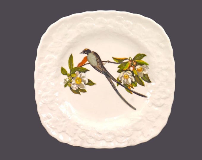 Alfred Meakin Birds of America Audubon Society square plate made in England. Fork-tailed Flycatcher.