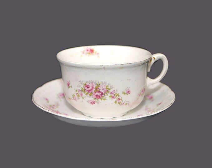 Edwardian Age Wedgwood & Co WW130 cup and saucer set made in England.
