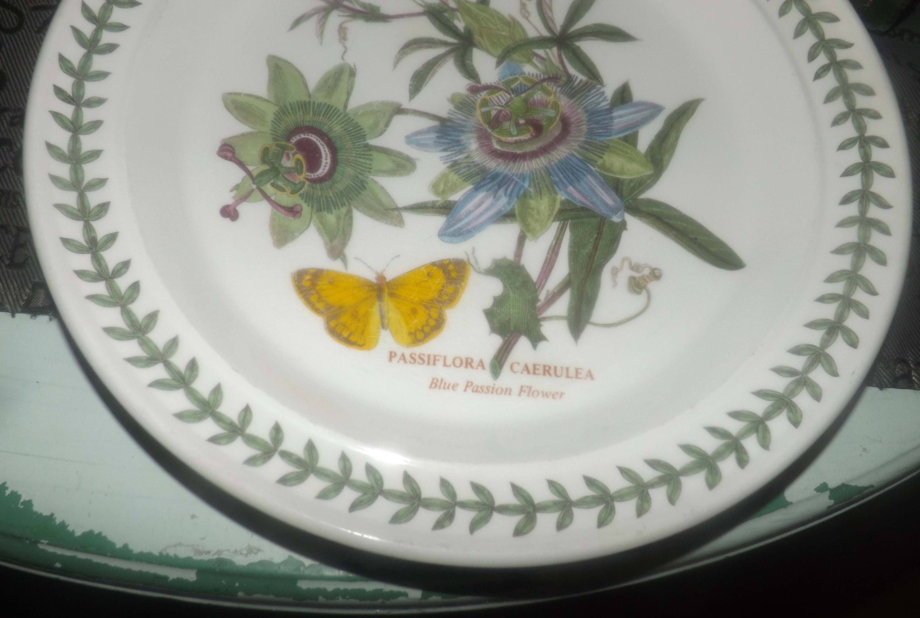 Vintage (1972) Portmeirion Botanic Garden large dinner plate. Blue