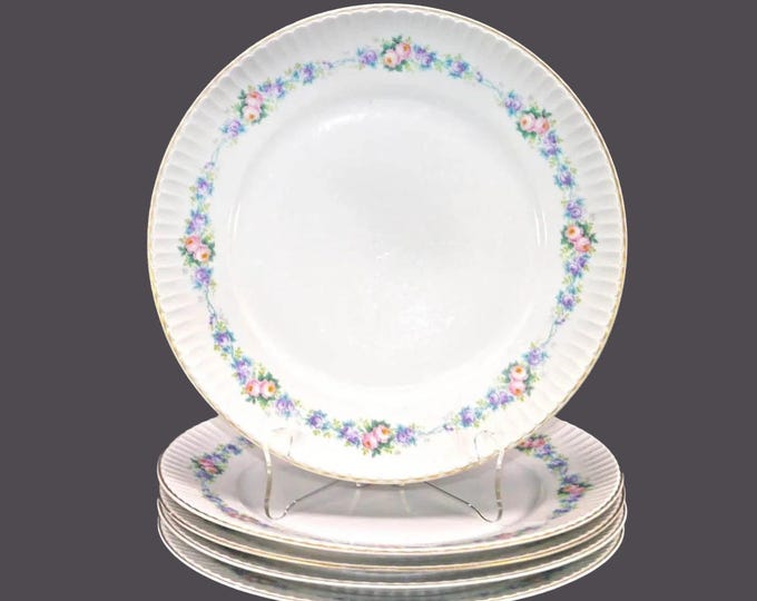 Five Hutschenreuther Hans Gustav Niemeyer dinner plates made in Germany. Multicolor floral garland. Flaws (see below).