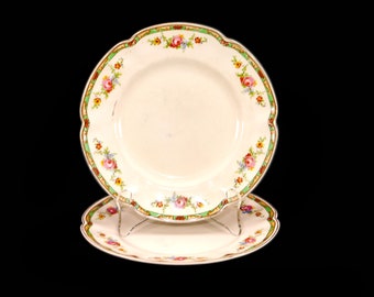 Pair of antique Johnson Brothers The Connaught salad plates. Pareek ironstone made in England. Flaws (see below).