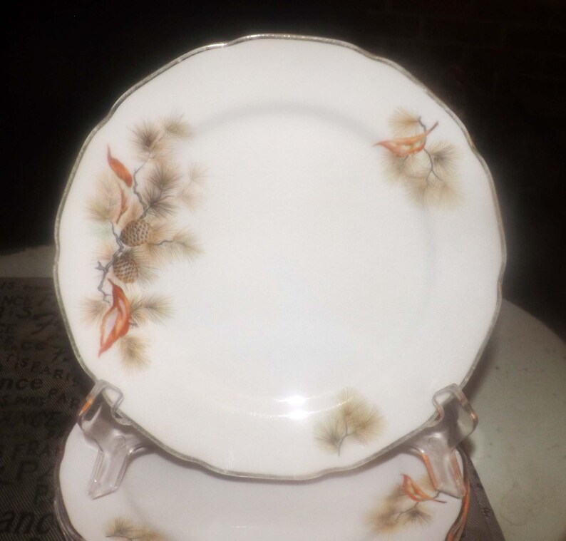 Fine Translucent China Japan Pine Tree large salad or side plate 1960s-1970s scalloped gold edge. Pine cones and pine branches Vintage