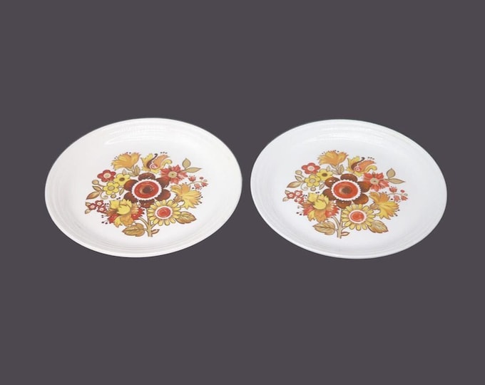 Pair of Myott Festival salad plates made in England.