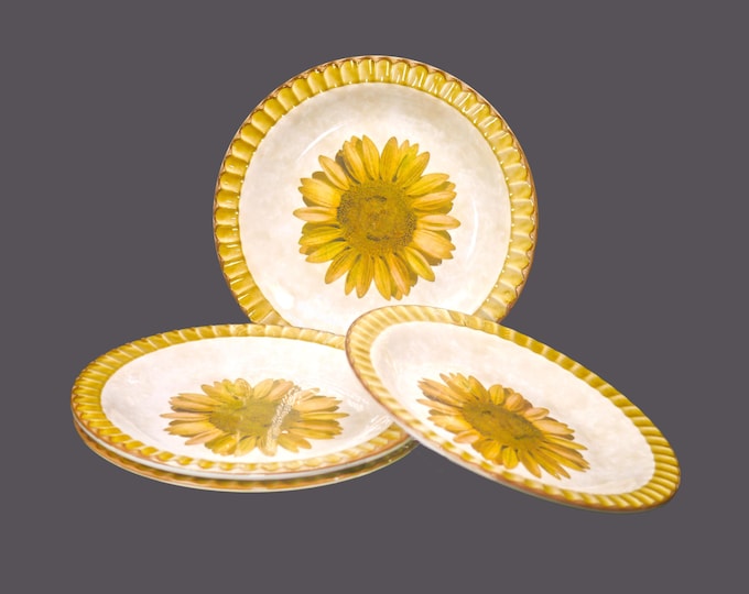Four Boan Live Colours Sunflower dinner plates made in Italy. Flaws (see below).