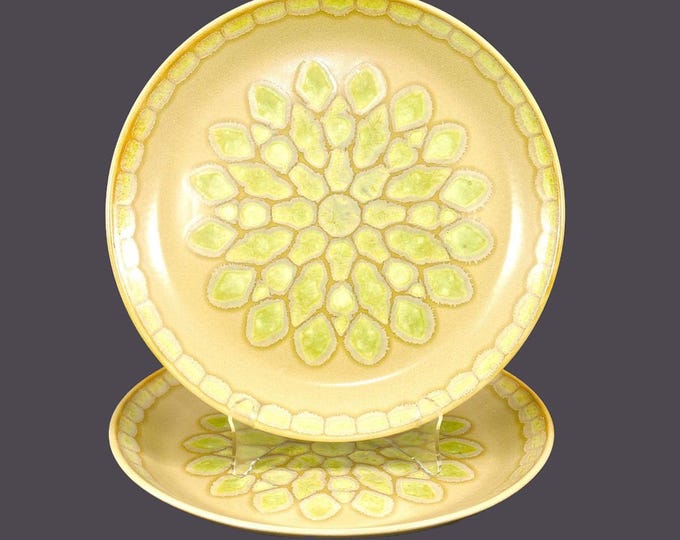 Pair of retro Johnson Brothers Rio Verde Sierra large stoneware dinner plates. Stonecrest Stoneware made in England.