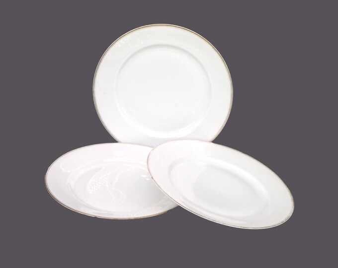Three antique MZ Austria | Altrohlau A-1936 salad plates. Flaws (see below).