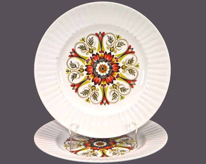 Pair of Myott Kenilworth Ironstone Ware | Alfred Meakin Leeds retro dinner plates made in England.