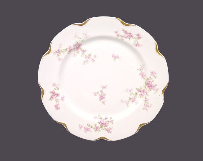 Antique Edwardian Age CH Field Haviland Limoges The Trocadero dinner plate made in France. Sold individually.