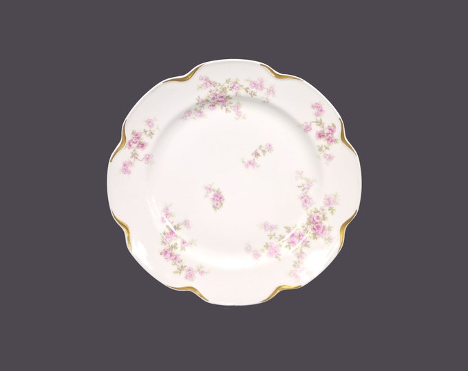 Antique Edwardian Age CH Field Haviland Limoges The Trocadero salad plate made in France. Sold individually.