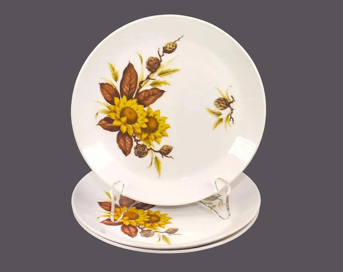Three Johnson Brothers Pinecone | Sherbrooke | JB1058 bread plates made in England.
