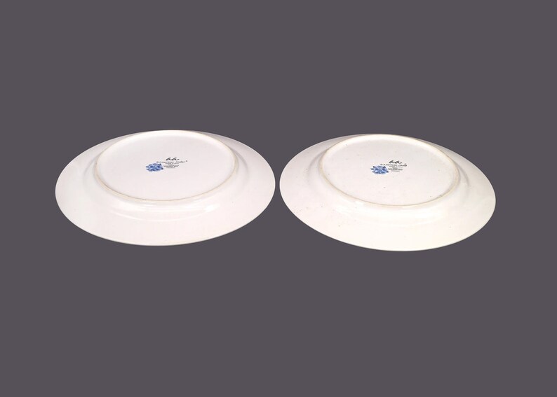 American Atelier Dinner Plates - Thumbnail 3