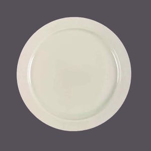 Vintage Rosenthal Campagna salad plate. Studio Line made in Germany.