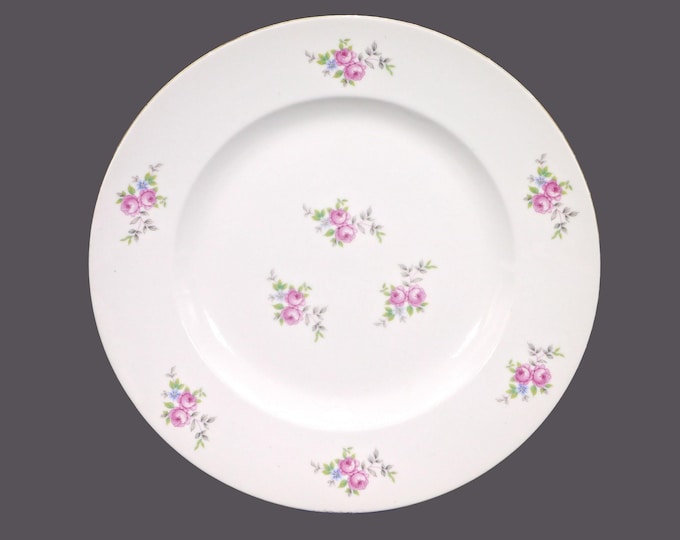 Vintage JL Menau Graf Von Henneberg HEP29 dinner plate made in Germany.