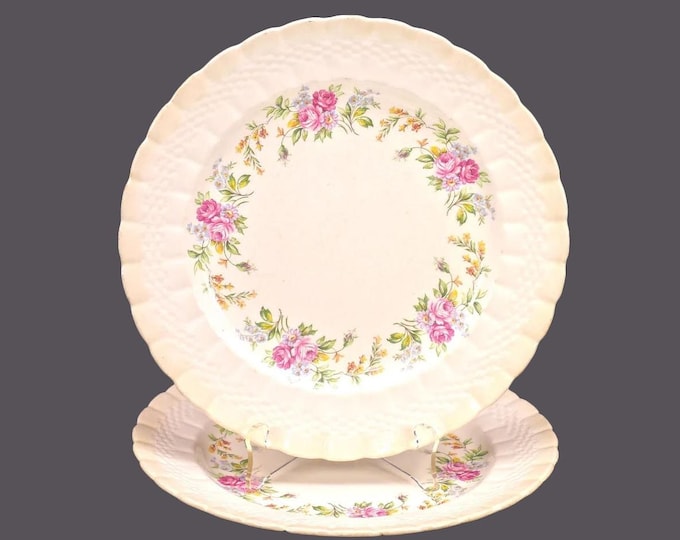 Pair of Simpsons Potters Finsbury luncheon plates. Solian Ware Ironstone made in England. Flaws (see below).