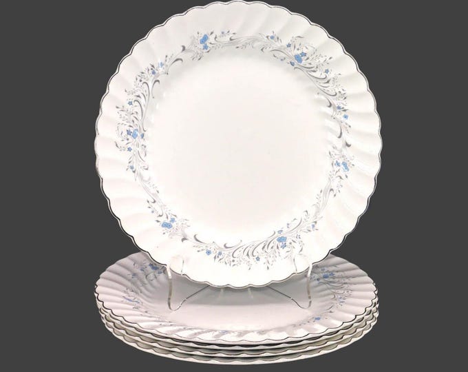 Five Sovereign Potters Charmian dinner plates.