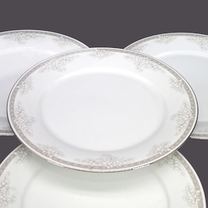 May include: Three white ceramic dinner plates with a silver rim and a delicate grey floral pattern.