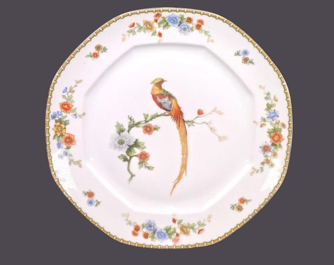Antique Altrohlau | MZ Austria | Zdekauer Golden Pheasant dinner plate. Flaw (see below).