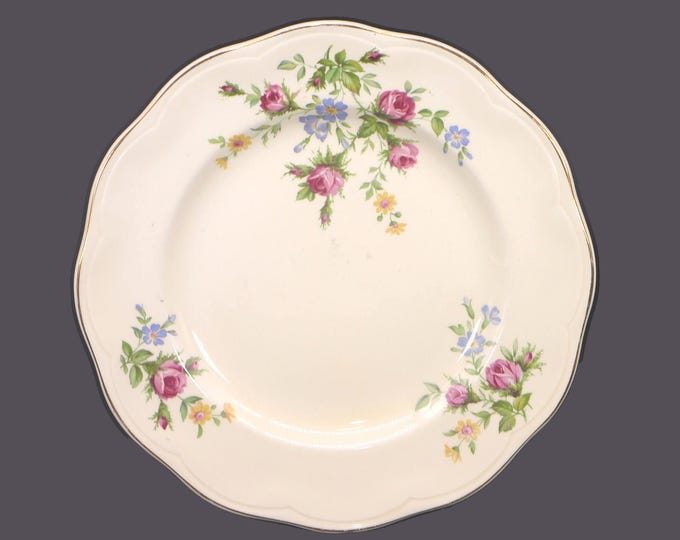 British Anchor Pottery BRA5 dinner plate. Regency Ironstone made in England. Sold individually.