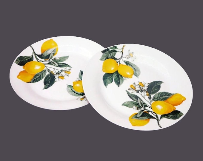 Pair of Royal Norfolk RNF122 salad plates. Lemons on branch.