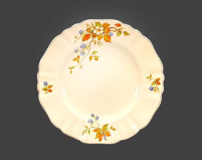 Antique art-nouveau period J&G Meakin MEK55 dinner plate. Sol Sunshine ironstone made in England.