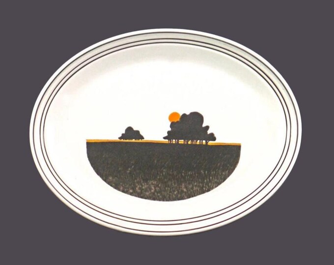 Royal Doulton Prairie LS1031 oval stoneware turkey or meat  platter. Lambethware stoneware made in England.