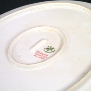 Antique Altrohlau MZ Austria Moritz Zdekauer Victoria oval platter made in Czechoslovakia. Flaw see below. image 7