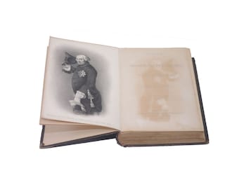 Antiquarian 1871 book: History of Friedrich II, Vol. V