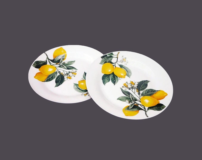 Pair of Royal Norfolk RNF122 salad plates. Lemons on branch.