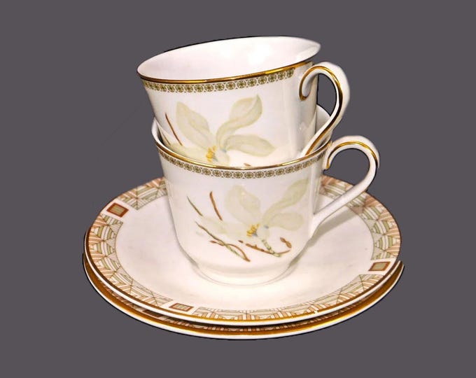 Pair of Royal Doulton White Nile TC1122 cup and saucer sets made in England.
