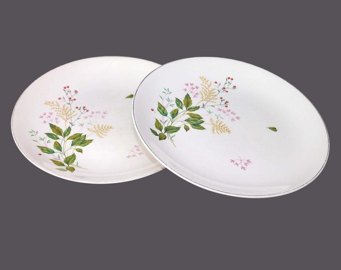 Pair of Johnson Brothers dinner plates. Red berries, pink flowers, ferns, leaves made in England. Flaws (see below).