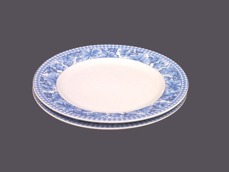 American Atelier Dinner Plates
