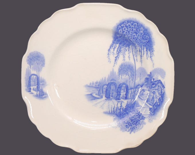Antique Myott English Garden Blue bread plate made in England.