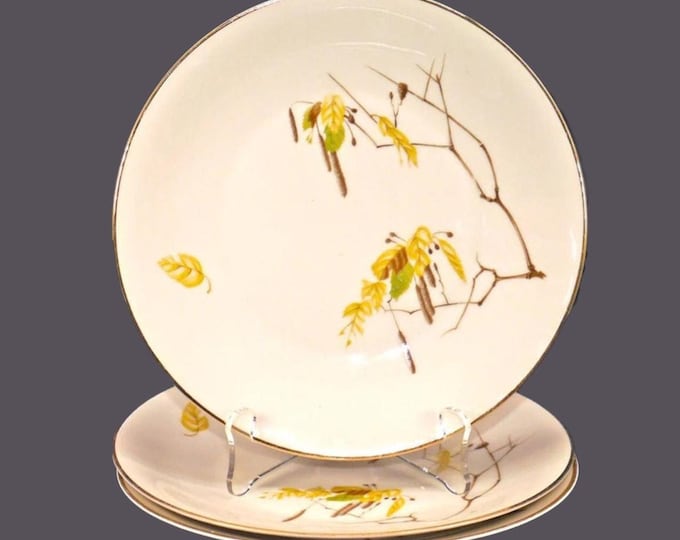 Three Heinrich Bavaria | H&C Selb Autumn salad plates made in Germany.