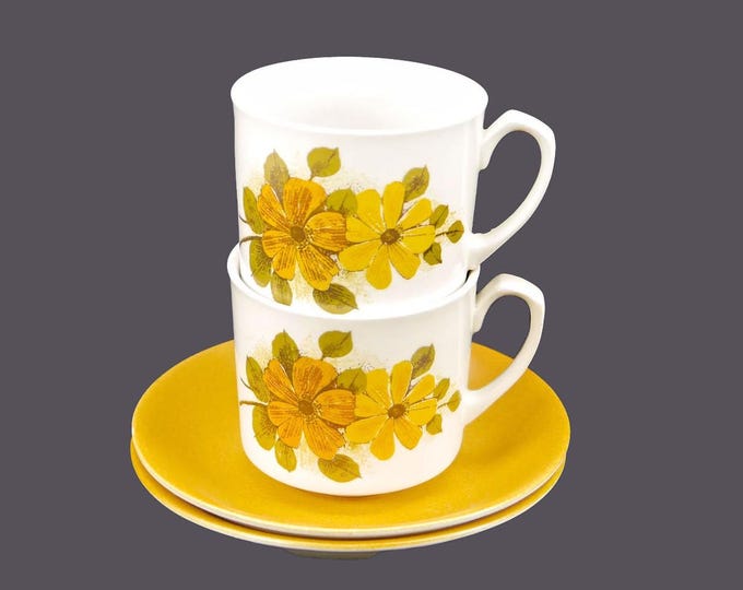 Pair of Myott MYO54 cup and saucer sets. Retro flower-power Sandstone Ware Ironstone made in England.