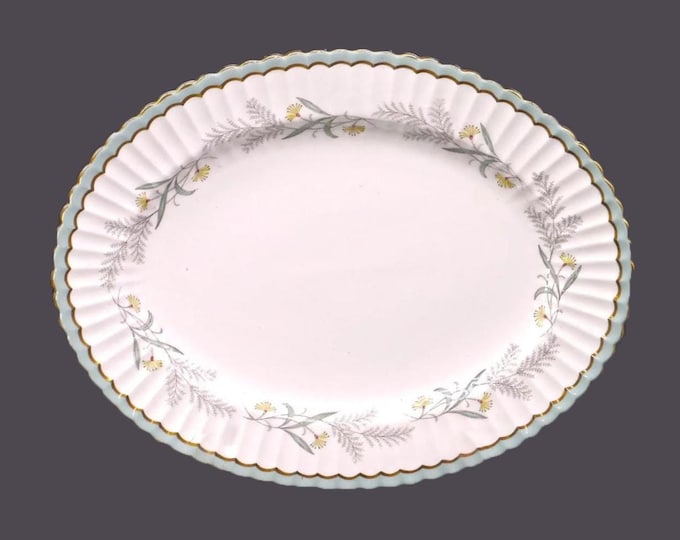 Paragon Sylvan Z1482 oval platter. Bone china made in England. Similar to Paragon Athens.